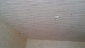 20160628_134417.jpg