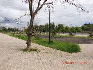 CIMG0030.JPG