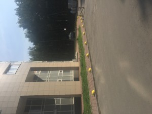 image.jpeg