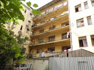DSCI8031.JPG