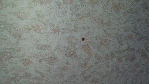 20160723_150240.jpg