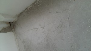 20160723_150333.jpg