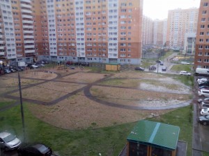 IMG_20160815_141502.jpg