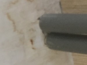 image.jpeg