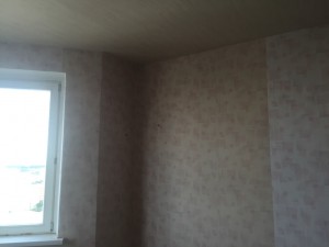 image.jpeg
