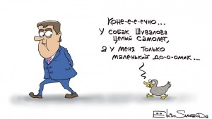 елкин о доме уточки.jpg