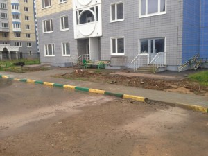 IMG_8409.JPG