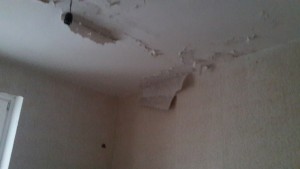 20161007_143438.jpg