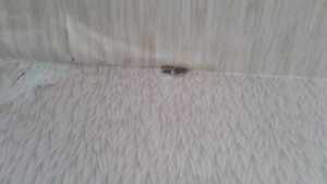 20161007_143520.jpg