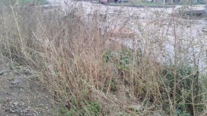 20161007_144109.jpg