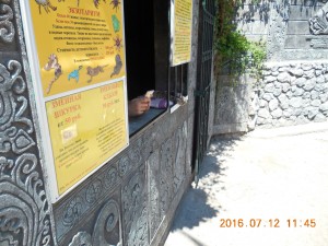 DSCN6127.JPG