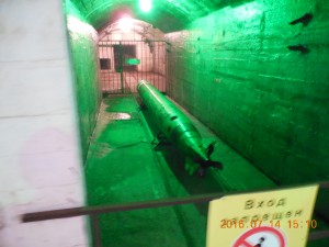 DSCN6298.JPG