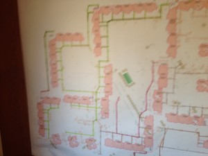 IMG_7370.JPG