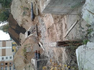20161013_134615.jpg