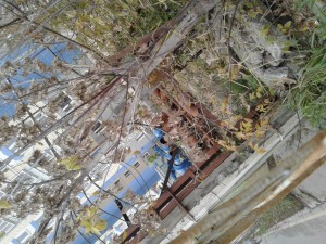20161013_134623.jpg