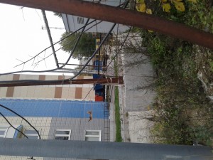 20161013_134924.jpg