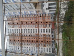 20161013_134952.jpg