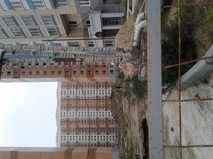 20161013_135036.jpg