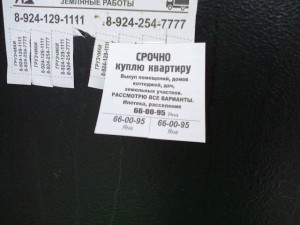 где собака порылась.jpg