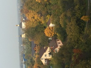IMG_2180.JPG