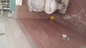 20161124_133514.jpg