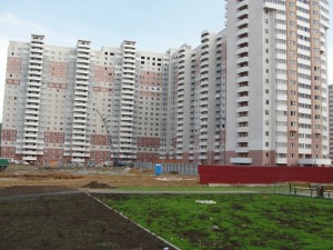 DSC07923.JPG