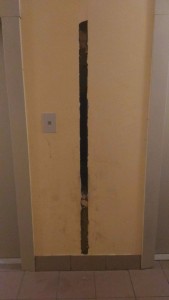 image (3).jpg