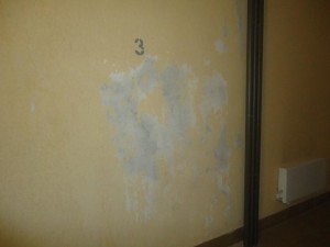 image (17).jpg