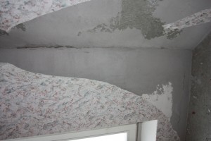IMG_3166.JPG