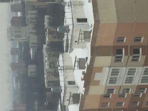 IMG_8990.JPG
