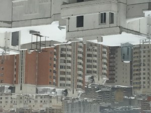 IMG_8991.JPG