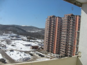 IMG_6317.jpg