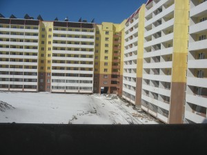IMG_6305.jpg