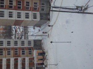 20170208_134310.jpg