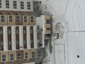IMG_9374.JPG