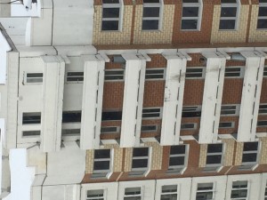 IMG_9375.JPG