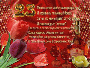 23 День З Отеч.gif
