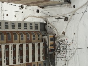 IMG_9565.JPG