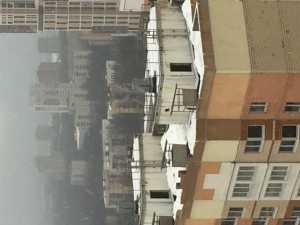 IMG_9558.JPG