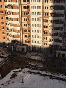 image.jpg