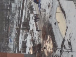 20170309_080119_HDR.jpg