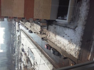 20170309_110011.jpg