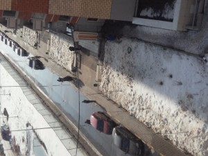 20170309_110102.jpg
