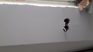 20170313_134213.jpg
