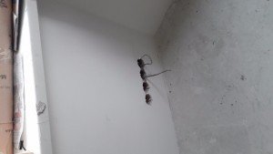 20170313_134210.jpg