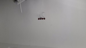 20170313_134120.jpg