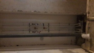 IMG-20170304-WA0019.jpeg