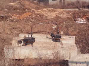 20170314_145113.jpg