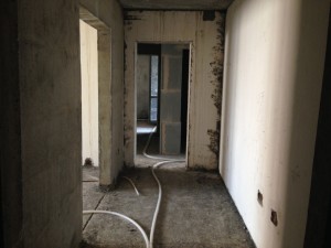 IMG_3527.JPG