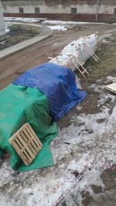 20170317_182123.jpg